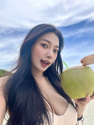 宠物小精灵日月