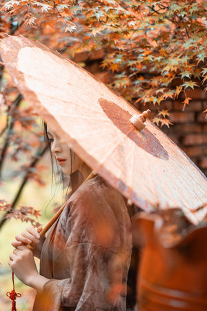 绿野仙踪中文版