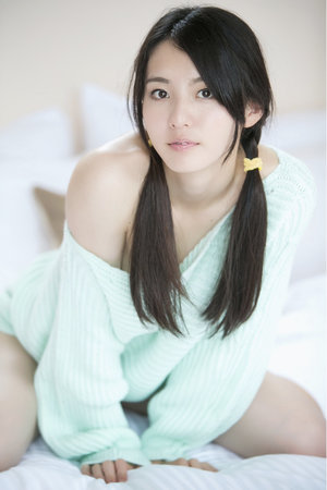 南少林荡倭英豪评价