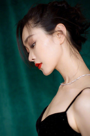 2023熊出没之伴我熊芯免费看