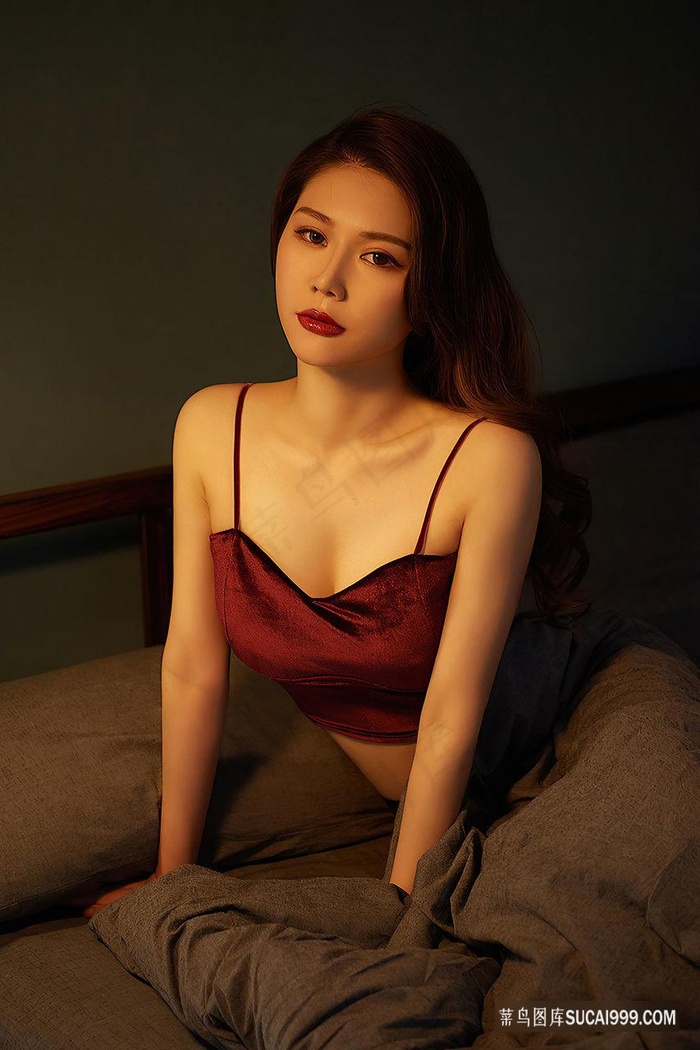 天盛长歌在线电视剧免费观看